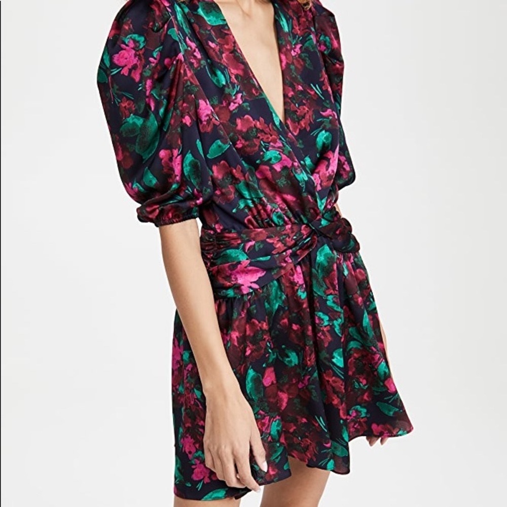 Misa Los Angeles Narcissa Dress NWT